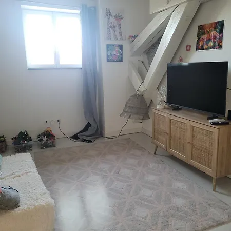 펜션 Les Lauriers - 3 Bedrooms, Hyper-centre And Pool *